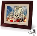 SELECT - Hewlett Packard 12.1" Digital Picture Frame Includes 2GB SELECT USB Pen Drive