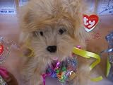 Happy Birthday Dog with Gourmet Gummy Bears