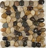 Mix Polished Stones Pebbles & Stones Brown Anatolia Pebble Tiles Polished Natural Stone Tile - 14447