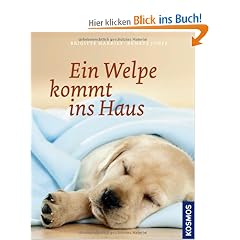 Ein Welpe kommt ins Haus