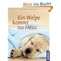 Ein Welpe kommt ins Haus