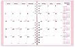 Brownline CoilPro Monthly Planner, 14 months (Dec-Jan), Pink, 8.875 x 7.125-Inches (CB1200C.PNK)