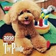 �g�[�C�E�v�[�h��CALENDAR 2010