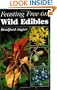 Feasting Free on Wild Edibles
