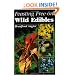 Feasting Free on Wild Edibles