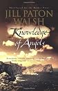 Knowledge of Angels