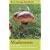 Mushrooms: River Cottage Handbook No.1