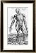 Anatomical Study, Illustration from De Humani Corporis Fabrica, 1543 Framed Art Poster Print by Andreas Vesalius, 24x32