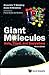 GIANT MOLECULES: HERE, THERE, AND EVERYWHERE (2ND EDITION)