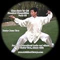 Chen Style Tai Chi Standard Competition Form 56