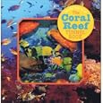 The Coral Reef Tunnel Book: Take a Peek Under the Sea! (Take a Peek series) by Joan Sommers