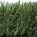 Sphere Turf SRDLF01 Synthetic Turf Optima 1-Foot Sample