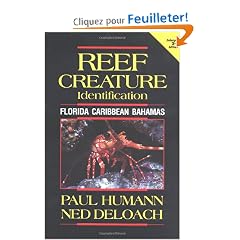 Reef Creature Identification: Florida, Caribbean, Bahamas