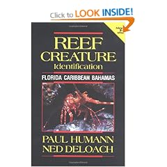 Reef Creature Identification: Florida Caribbean Bahamas