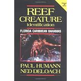 Reef Creature Identification: Florida, Caribbean, Bahamas