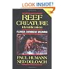 Reef Creature Identification: Florida Caribbean Bahamas
