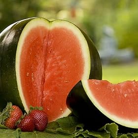 Watermelon - Sugar Baby - 50 Seeds + *Free Seeds*