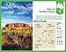 Lonely Planet Outback Australia Road Trips 1 (Travel Guide)