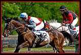 BooBoo Iroqouis Steeple Chase Two Jockeys 13 X 19