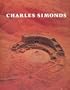 Charles Simonds: Museum  of Contemporary Art, Chicago, November 7, 1981-January 3, 1982