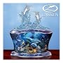 Dolphin Majesty Music Box