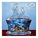 Dolphin Majesty Music Box