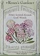 Honey-Scented Alyssum Gulf Winds Seeds