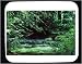 Decorated Mouse Pad with green, woods, nobody, Canada, flowing, stream, fir trees, day, outdoor, lake, evergreen, landscape, North America, water, Rockies, nature, shore, creek, river, wilderness, British Columbia, riverside, forest, Kicking Horse River