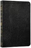 ESV Large Print Bible (Black) image