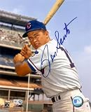 Ron Santo Autographed Photograph, 8 x 10