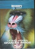 GRANDES SIMIOS (LA GUIA MAXIMA)