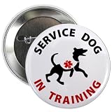 TRAINING SERVICE DOG ANIMAL Medical Alert 2.25 Pinback Button Badge