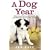 A Dog Year: Rescuing Devon, the Most Troublesome Dog in the World