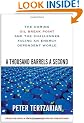 A Thousand Barrels a Second: The Coming Oil Break Point and the Challenges Facing an Energy Dependent World