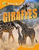 Animal Lives: Giraffes (QED Animal Lives)