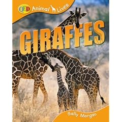 Animal Lives: Giraffes (QED Animal Lives)