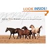 Among Wild Horses: A Portrait of the Pryor Mountain Mustangs