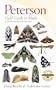 Peterson Field Guide to Moths of Northeastern North America