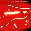 Modulation & Transformation II