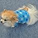 WXBUY Pet Dogs Fleece Fur Coat Clothes Puppy T-shirts Blue S