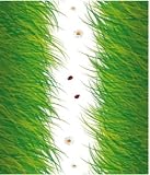 Wandtattoo 2er SET Homesticker DEKO Wandtatoo Wand Sticker FEUCHTRAUM geeignet GRAS 50x70cm