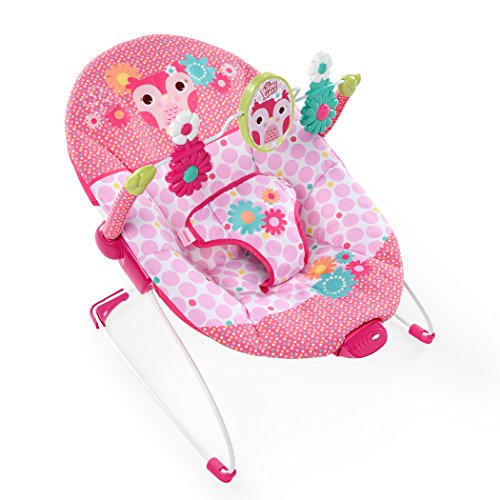 Bright Starts Happy Tweets Bouncer