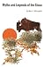Myths and Legends of the Sioux