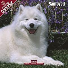 2009 Samoyed Wall Calendar