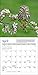 Owls WWF Mini Wall Calendar 2017
