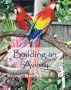 Building an Aviary
