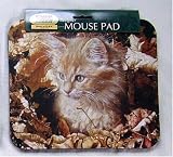 マウスパット猫柄　仔猫 と枯葉
