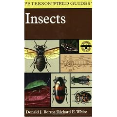 A Field Guide to Insects: America North of Mexico