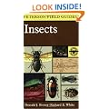 Field Guide to Insects (Peterson Field Guides)