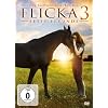 Flicka 3